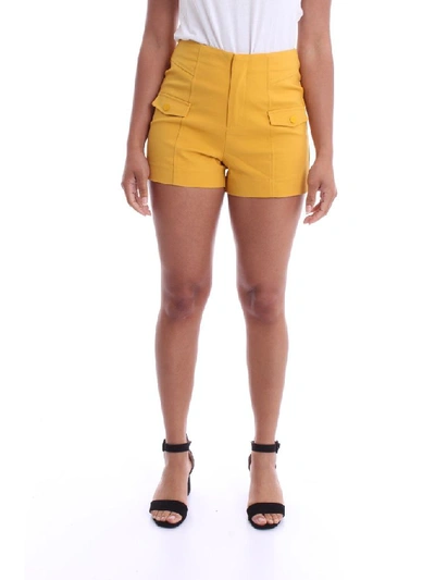 Molly Bracken Women's Yellow Cotton Shorts