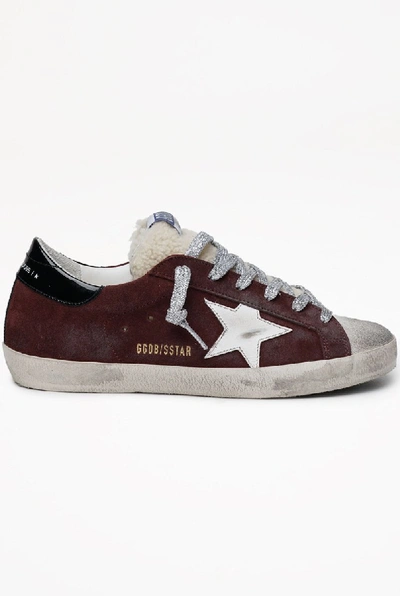 Golden Goose Superstar Suede Upper Leather Star Shearling Tongue In Brown