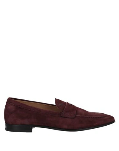 Tod's Man Loafers Plum Size 8 Leather In Purple