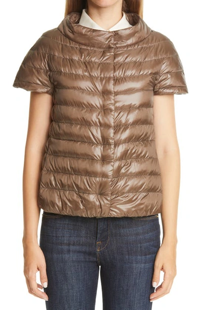 Herno Short Sleeve Down Puffer Jacket In Chestnut