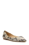 Botkier Annika Pointed Toe Flat In Snake Print Leather