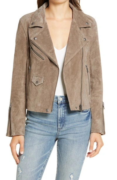 Blanknyc Vital Signs Suede Moto Jacket In French Taupe