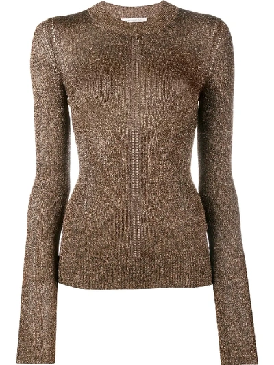 Christopher Kane Metallic Yarn Knit Top In Brown