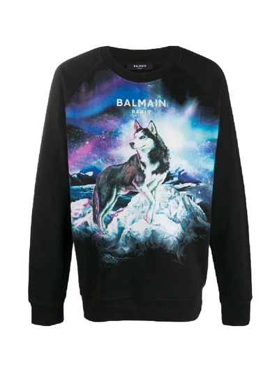 Balmain Wolf-print Sweatshirt In Black