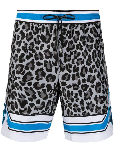 Dolce & Gabbana Leopard Print Swimming Trunks In Grey