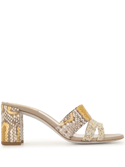 René Caovilla Ginger Crystal Mules In Gold