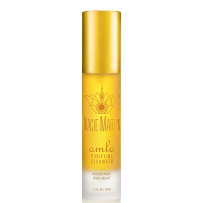 Tracie Martyn Amla Purifying Cleanser, 50g In Colorless