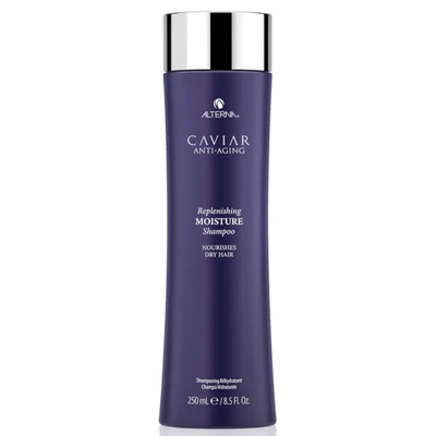 Alterna Caviar Anti-aging Replenishing Moisture Shampoo (8.5oz) In N/a