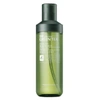 TONYMOLY TONYMOLY THE CHOK CHOK GREEN TEA WATERY SKIN TONER,TM00000174