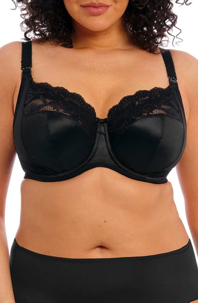 Elomi Meredith Full Figure Underwire Stretch Lace Bra El4440 In Black