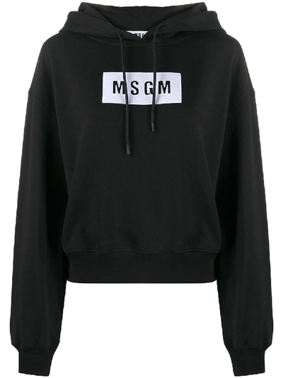 Msgm Logo-print Cotton Hoodie In Black