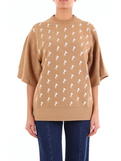 Chloé Chloeã¨ Camel-colored Crew Neck Sweater