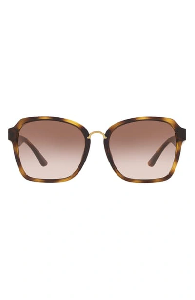 Tory Burch 57mm Gradient Square Sunglasses In Light Gold/ Brown Grad