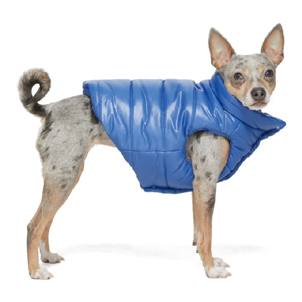 Moncler Genius Blue Poldo Dog Couture Edition Insulated Jacket ModeSens