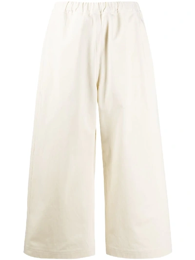 Sofie D'hoore Cropped Flare Trousers In Neutrals