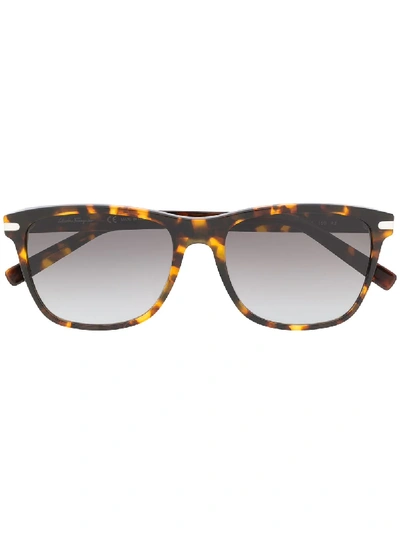 Ferragamo Tortoiseshell Wayfarer Sunglasses In Brown