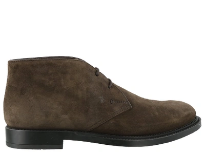 Tod's Desert Ankle Boots In Brown