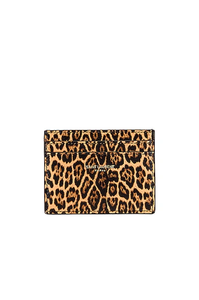 Saint Laurent Card Case In Toffee & Naturale