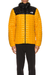 THE NORTH FACE THERMOBALL ECO HOODIE,TACF-MO72