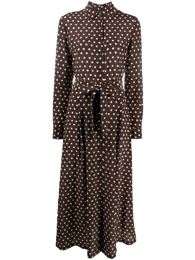 Antonelli Polka-dot Shirt Dress In Brown