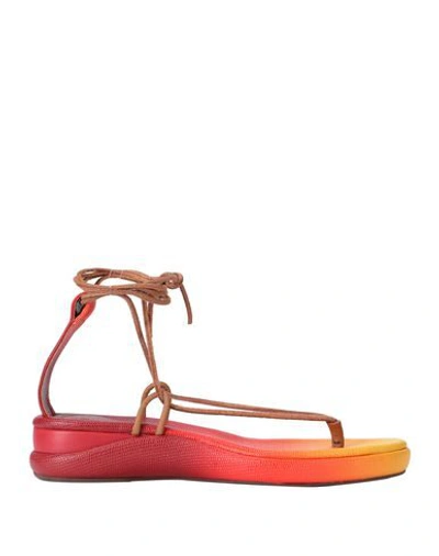 Chloé Toe Strap Sandals In Red