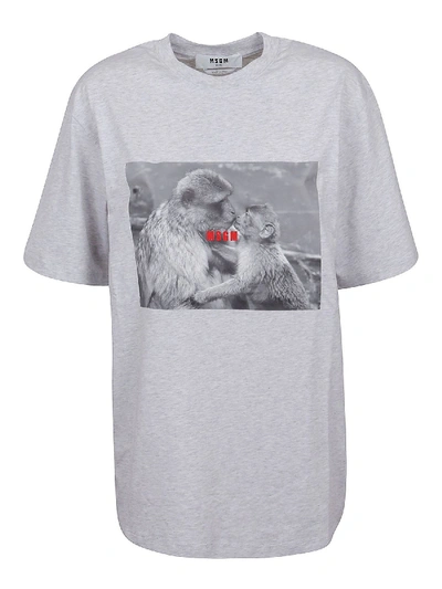 Msgm Ape Print Cotton T-shirt In Grey