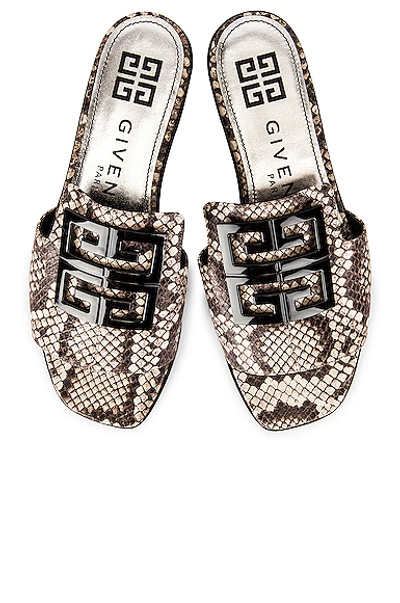 Givenchy Women's 4g Flat Python-embossed Leather Sandals In Stone Grey