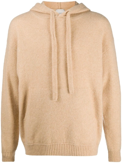 Laneus Plain Ribbed Hoodie In Neutrals