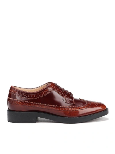 Tod's Derby Brogue In Brown Shaded Leather