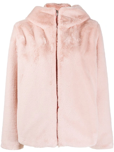 Dondup Zipped Hooded Jacket In Pink