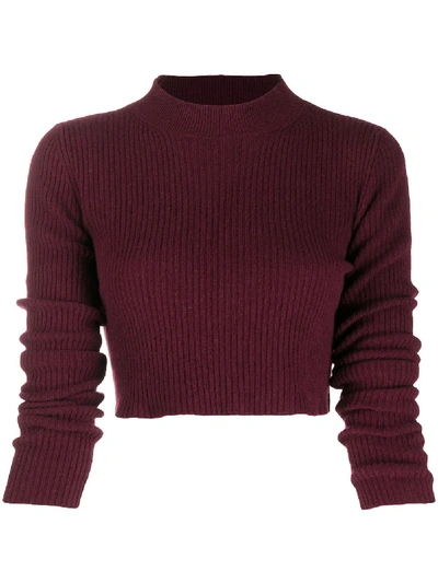 Andamane Gerippter Cropped-pullover In Red