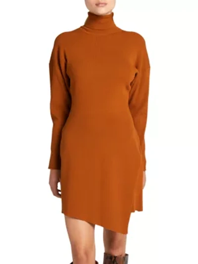 A.l.c Virgo Turtleneck Sweater Dress In All Spice