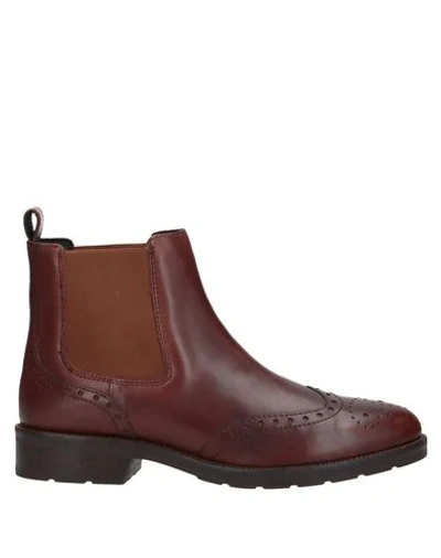 Geox Ankle Boots In Brown