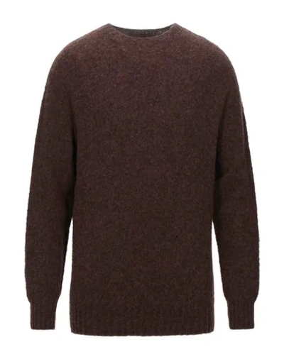 Howlin' Sweaters In Brown