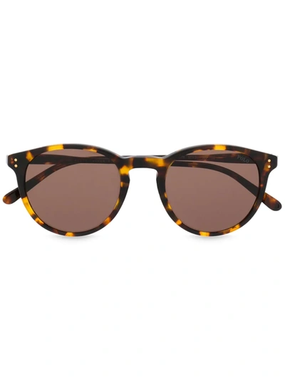 Polo Ralph Lauren Round Tortoiseshell Sunglasses In Brown