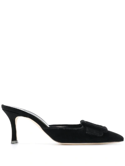 Manolo Blahnik Maysale Pinstripe Buckle Mules In Black