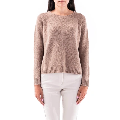 Weekend Max Mara Sweater In (nd)