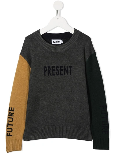 Molo Kids' Colour Block Jumper In Grey