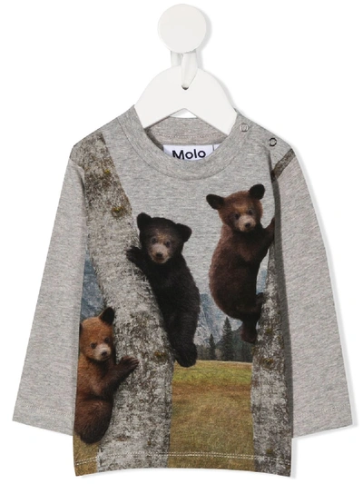 Molo Babies' Teddy Bear Print Crew Neck Sweatshirt In Grey