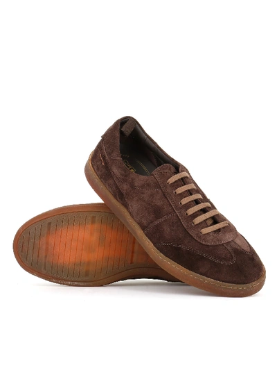 Alexander Hotto Sneakers 58053 In Brown