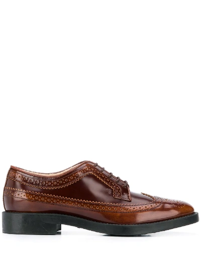 Tod's Lace-up Leather Brogues In Brown