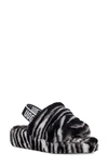 Black/White Zebra