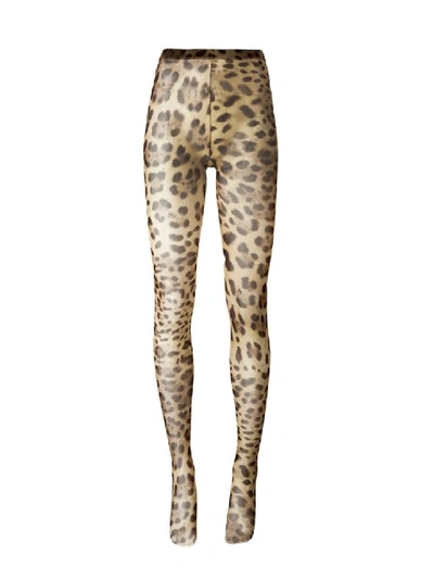 Dolce & Gabbana Leopard Nylon Socks In Brown