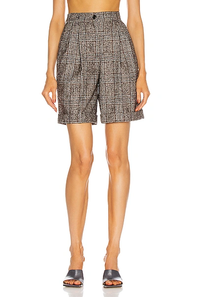 Dolce & Gabbana Tailored Bermuda Short In Black & Brown Check