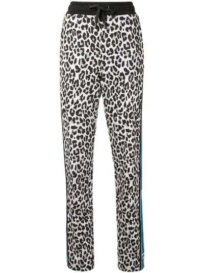Dolce & Gabbana Leopard Print Track Pants In Black