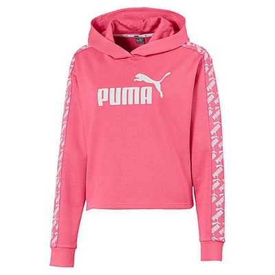Puma Women's Amplified Cropped Logo Hoodie In Pink
