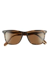 Oliver Peoples Square Sunglasses In Brown