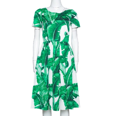 Pre-owned Dolce & Gabbana Green And White Banana Leaf Print Cotton Midi Dress M