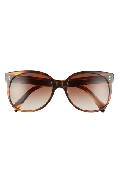 Celine 58mm Cat Eye Sunglasses In Havana/ Brown