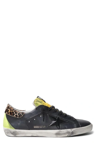 Golden Goose Super-star Sneaker In Multicolor